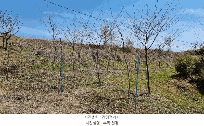 2025타경41564 경기도 평택시 포승읍 홍원리 105 농지 경매 이미지