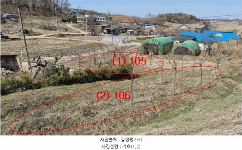 2025타경41564 경기도 평택시 포승읍 홍원리 105 농지 경매 이미지