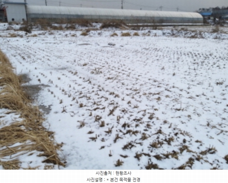 2024타경5156 경기도 평택시 포승읍 내기리 237 농지 경매 이미지