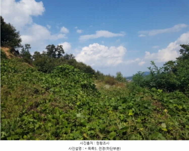 2024타경52541 경기도 안성시 삼죽면 진촌리 464-12 목장용지 경매 이미지