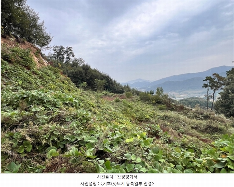 2024타경52541 경기도 안성시 삼죽면 진촌리 464-12 목장용지 경매 이미지