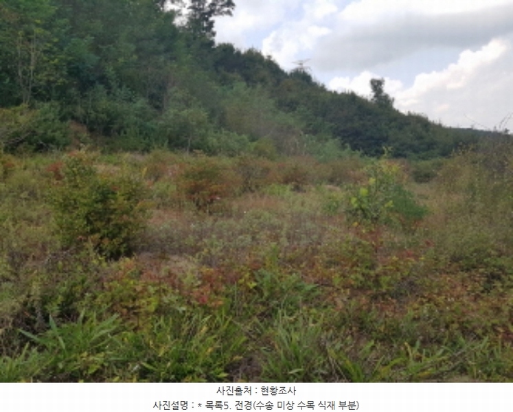 2024타경52541 경기도 안성시 삼죽면 진촌리 464-12 목장용지 경매 이미지