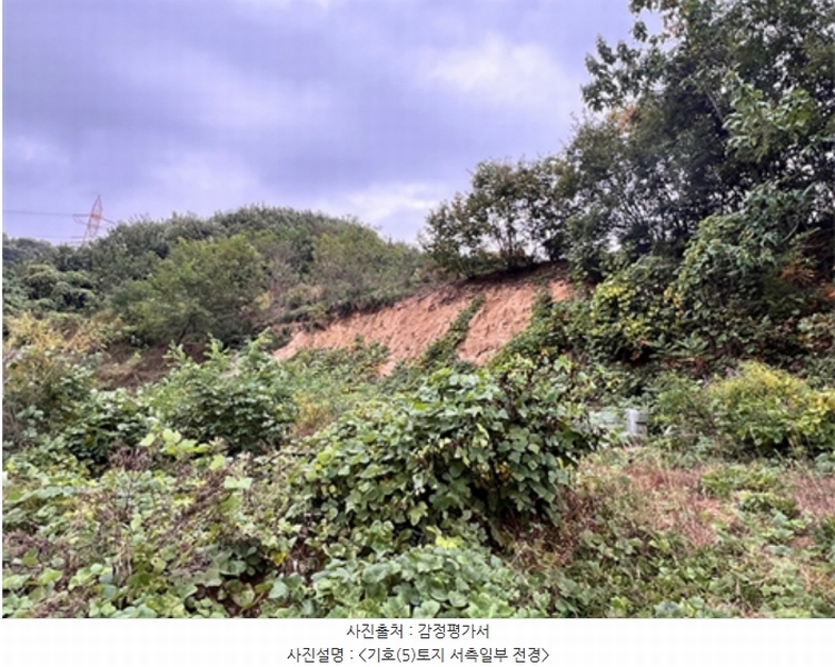 2024타경52541 경기도 안성시 삼죽면 진촌리 464-12 목장용지 경매 이미지