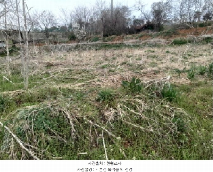 2025타경41534 경기도 평택시 청북읍 율북리 102-9 농지 경매 이미지