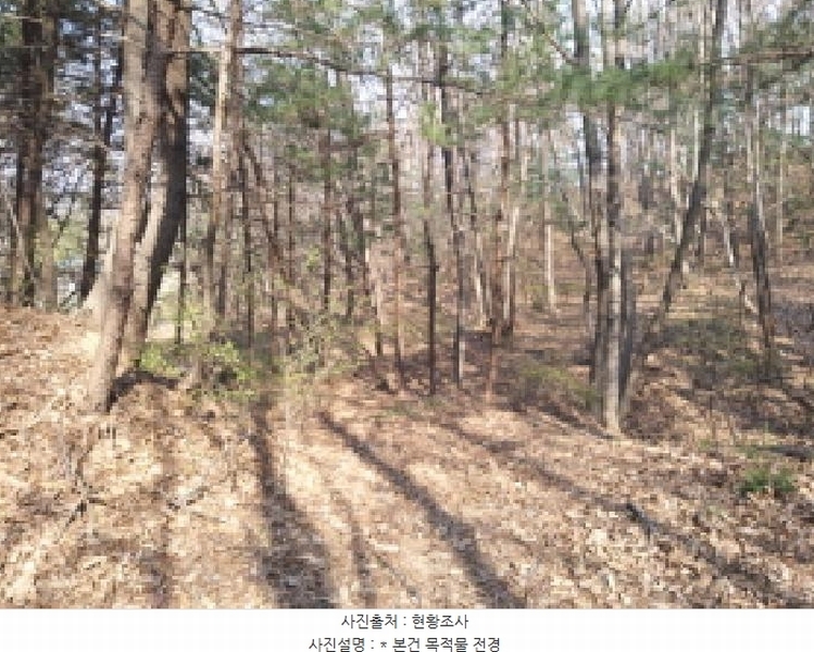 2025타경41558 경기도 평택시 현덕면 대안리 산64-3 임야 경매 이미지