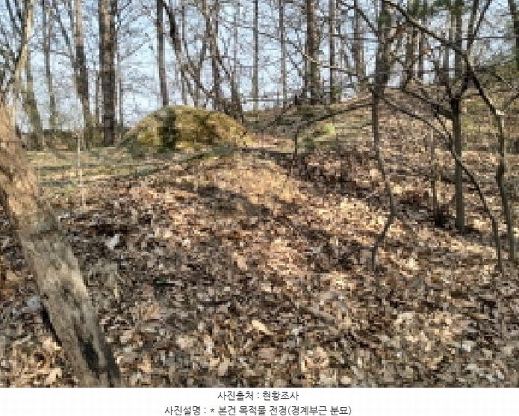 2025타경41558 경기도 평택시 현덕면 대안리 산64-3 임야 경매 이미지