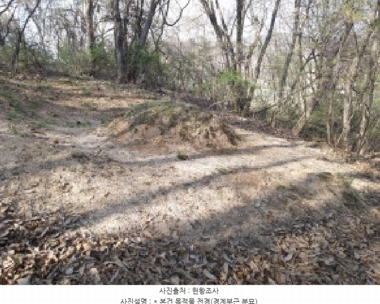 2025타경41558 경기도 평택시 현덕면 대안리 산64-3 임야 경매 이미지