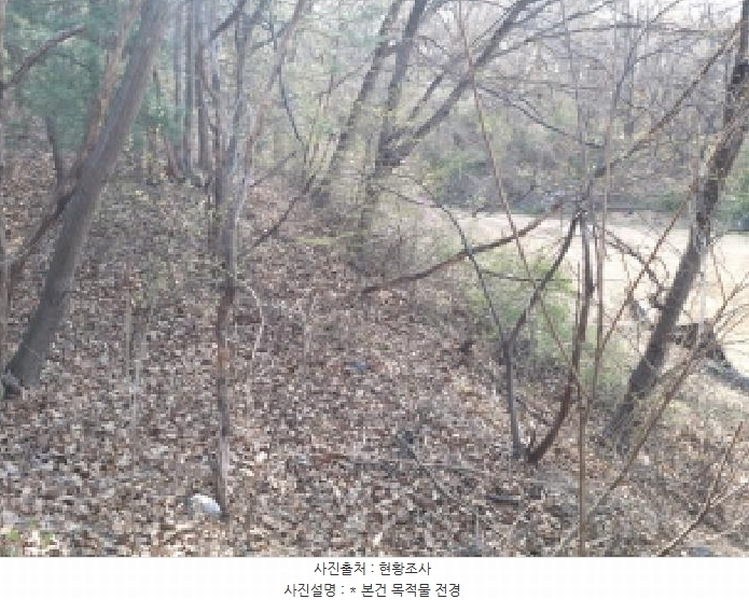 2025타경41558 경기도 평택시 현덕면 대안리 산64-3 임야 경매 이미지