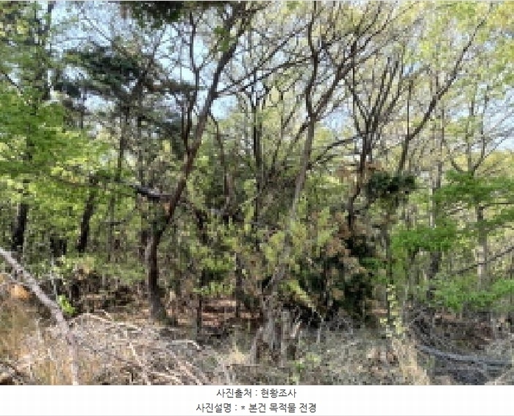 2025타경41603 경기도 평택시 진위면 동천리 산48-1 임야 경매 이미지
