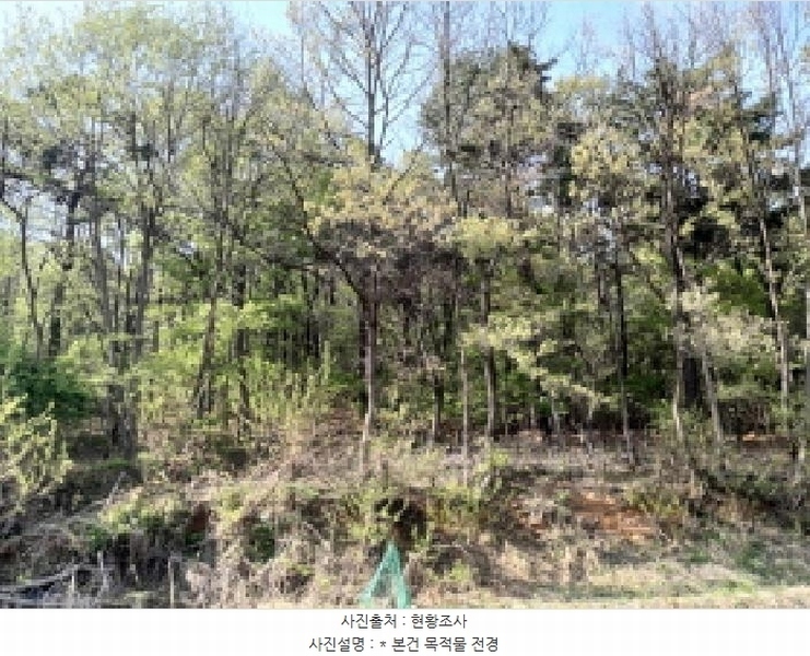2025타경41603 경기도 평택시 진위면 동천리 산48-1 임야 경매 이미지
