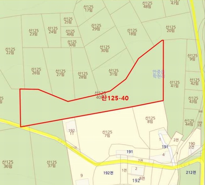 2025타경41744 경기도 평택시 안중읍 학현리 산125-40 임야 경매 이미지