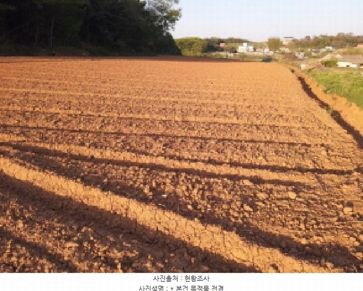 2025타경41744 경기도 평택시 안중읍 학현리 산125-40 임야 경매 이미지