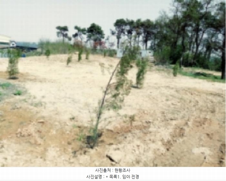 2025타경41776 경기도 평택시 죽백동 108-16 임야 경매 이미지