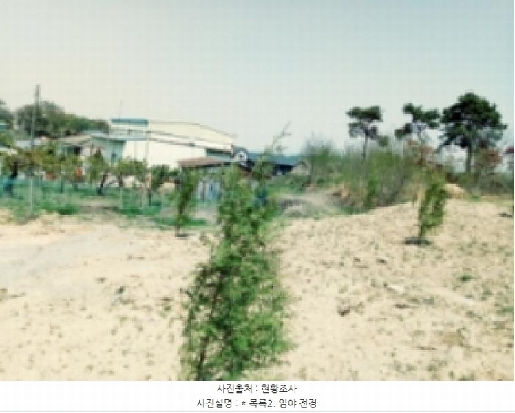 2025타경41776 경기도 평택시 죽백동 108-16 임야 경매 이미지