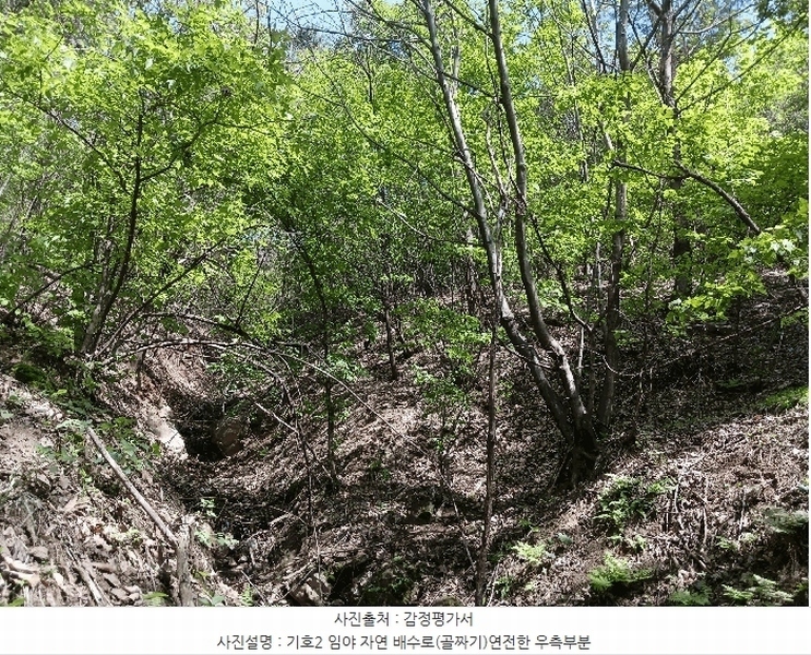 2025타경41799 경기도 안성시 죽산면 용설리 산106-7 임야 경매 이미지