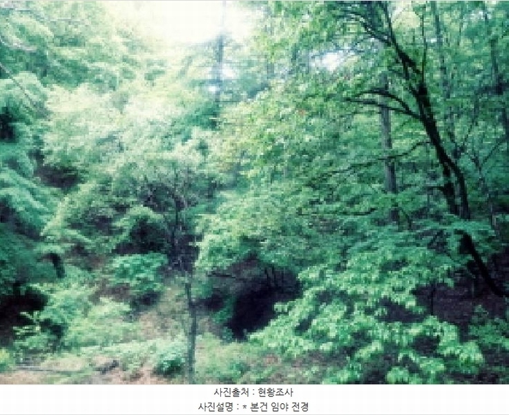 2025타경41799 경기도 안성시 죽산면 용설리 산106-7 임야 경매 이미지