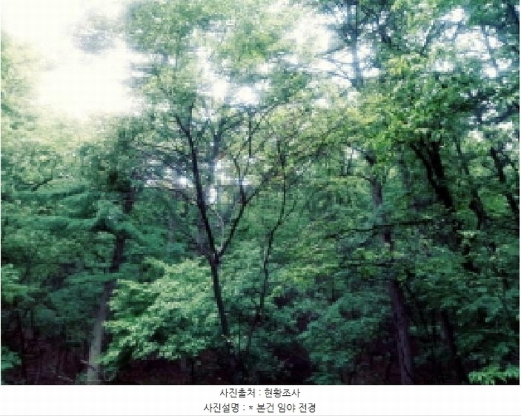 2025타경41799 경기도 안성시 죽산면 용설리 산106-7 임야 경매 이미지