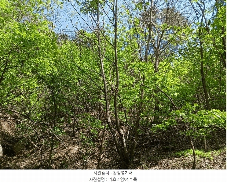 2025타경41799 경기도 안성시 죽산면 용설리 산106-7 임야 경매 이미지