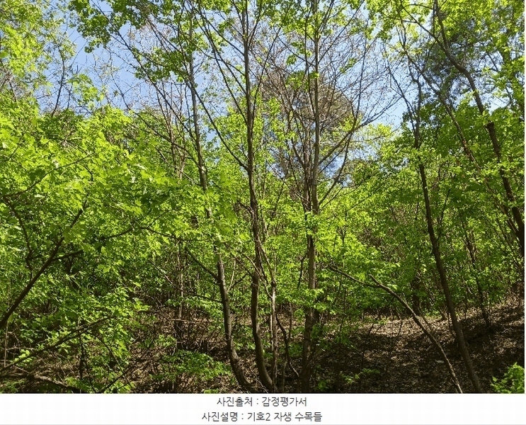 2025타경41799 경기도 안성시 죽산면 용설리 산106-7 임야 경매 이미지