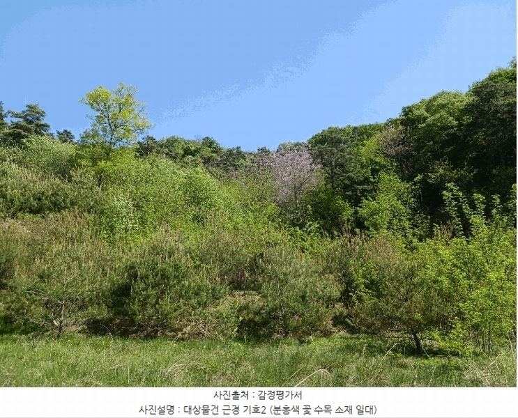 2025타경41799 경기도 안성시 죽산면 용설리 산106-7 임야 경매 이미지