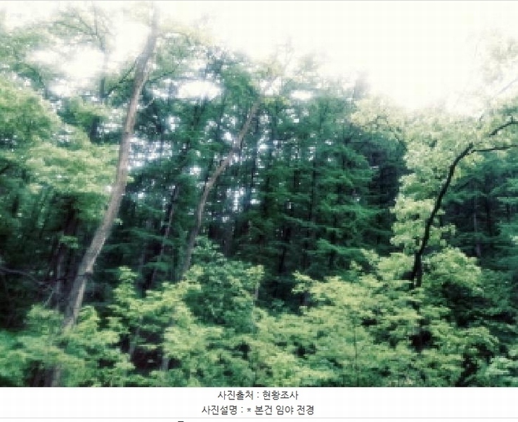 2025타경41799 경기도 안성시 죽산면 용설리 산106-7 임야 경매 이미지