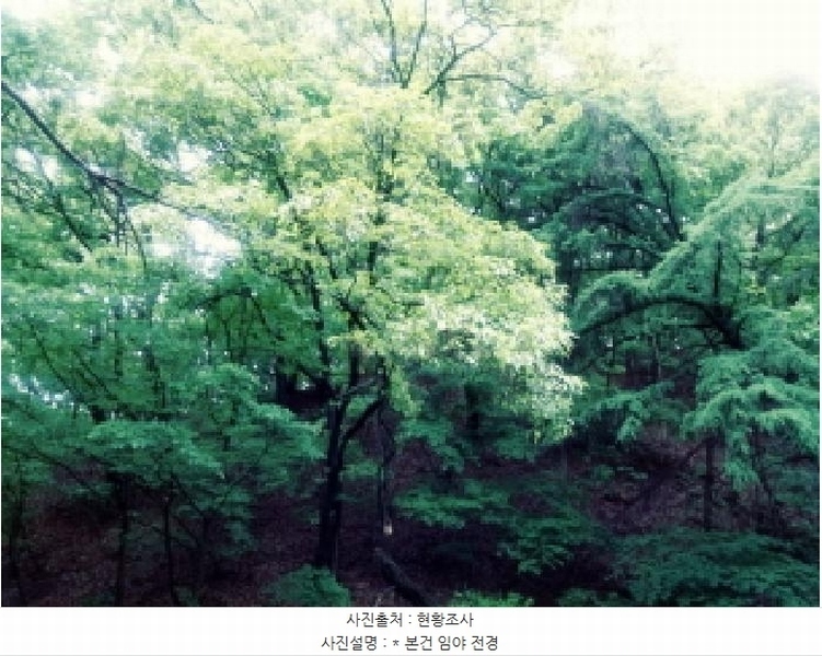 2025타경41799 경기도 안성시 죽산면 용설리 산106-7 임야 경매 이미지
