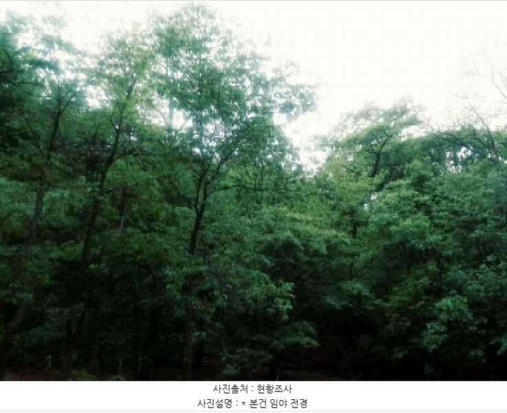 2025타경41799 경기도 안성시 죽산면 용설리 산106-7 임야 경매 이미지