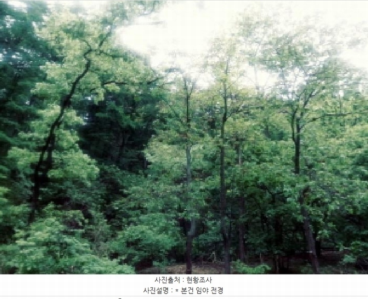 2025타경41799 경기도 안성시 죽산면 용설리 산106-7 임야 경매 이미지