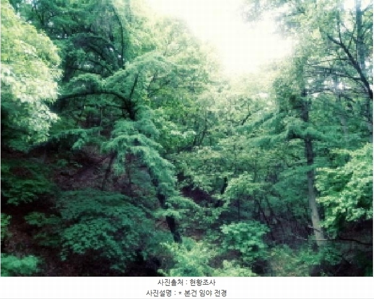 2025타경41799 경기도 안성시 죽산면 용설리 산106-7 임야 경매 이미지