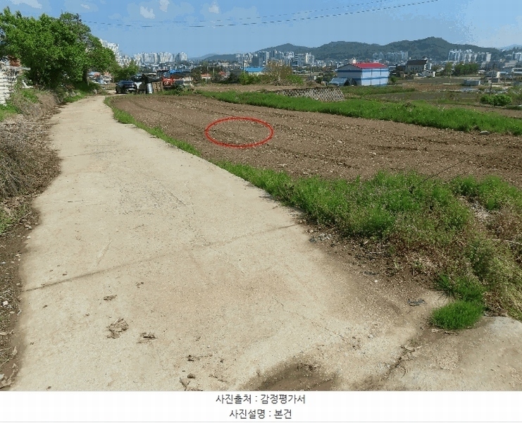 2025타경41808 경기도 안성시 도기동 318 농지 경매 이미지