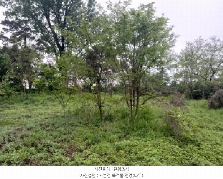 2025타경41849 경기도 평택시 고덕면 문곡리 587 농지 경매 이미지