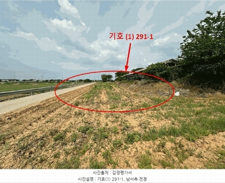 2025타경41863 경기도 평택시 팽성읍 신대리 291-1 농지 경매 이미지