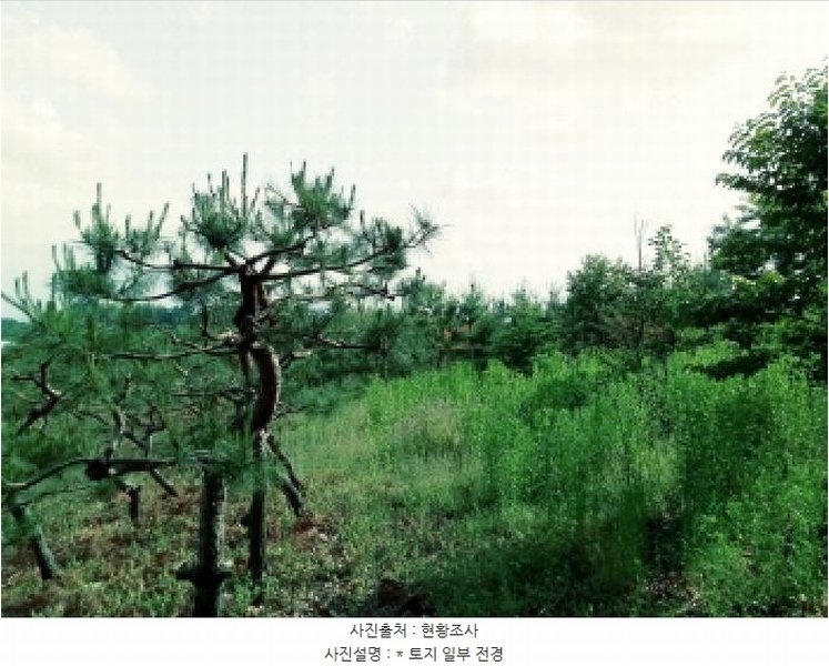 2025타경41880 경기도 안성시 양성면 덕봉리 산38-2 임야 경매 이미지