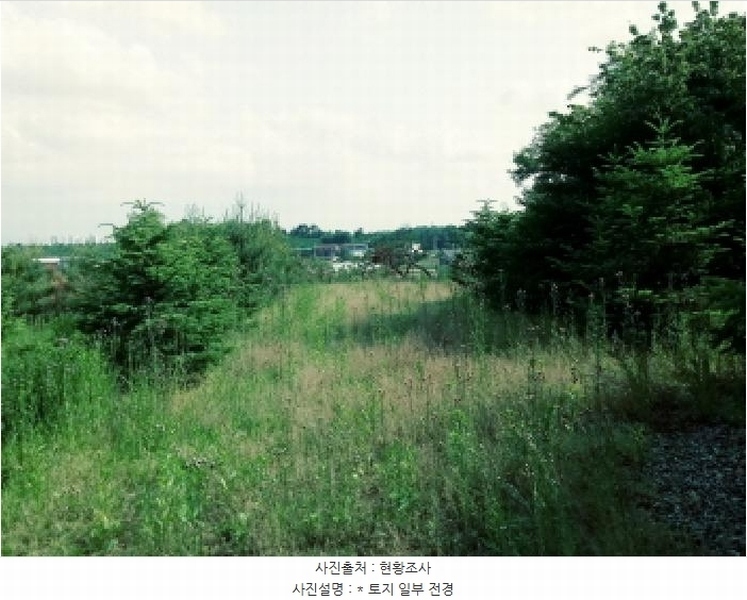 2025타경41880 경기도 안성시 양성면 덕봉리 산38-2 임야 경매 이미지