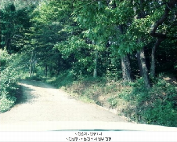 2025타경41880 경기도 안성시 양성면 덕봉리 산38-2 임야 경매 이미지