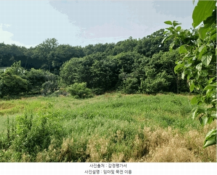 2025타경41880 경기도 안성시 양성면 덕봉리 산38-2 임야 경매 이미지