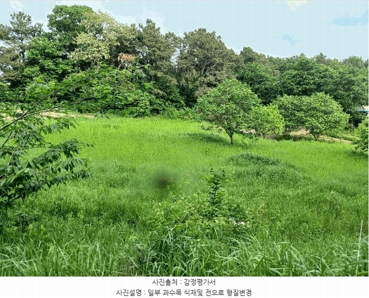 2025타경41880 경기도 안성시 양성면 덕봉리 산38-2 임야 경매 이미지