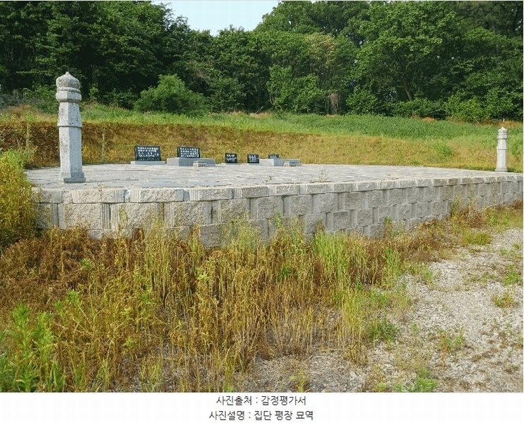 2025타경41880 경기도 안성시 양성면 덕봉리 산38-2 임야 경매 이미지
