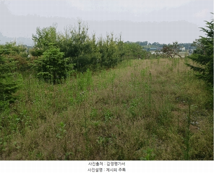 2025타경41880 경기도 안성시 양성면 덕봉리 산38-2 임야 경매 이미지