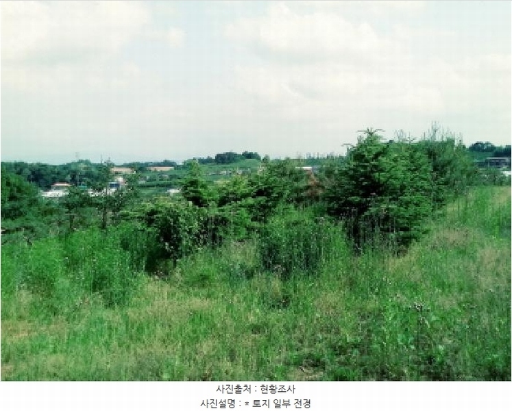 2025타경41880 경기도 안성시 양성면 덕봉리 산38-2 임야 경매 이미지