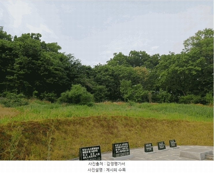 2025타경41880 경기도 안성시 양성면 덕봉리 산38-2 임야 경매 이미지