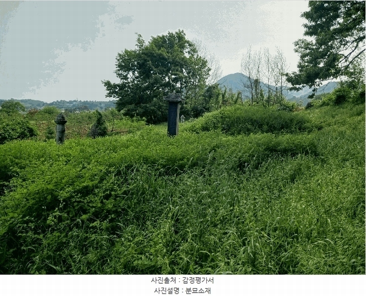 2025타경41880 경기도 안성시 양성면 덕봉리 산38-2 임야 경매 이미지