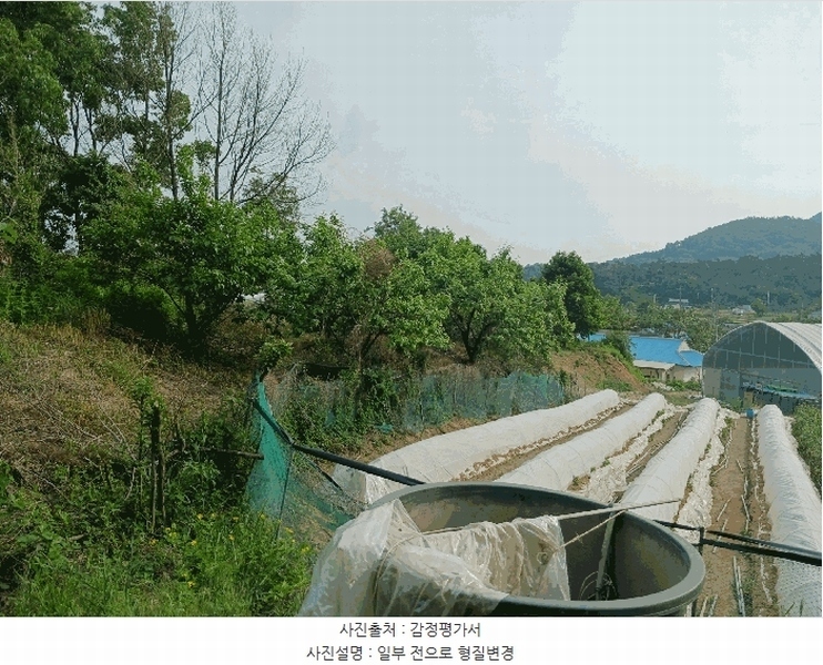 2025타경41880 경기도 안성시 양성면 덕봉리 산38-2 임야 경매 이미지