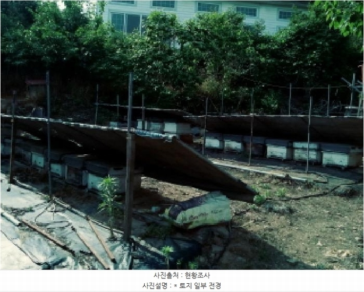2025타경41880 경기도 안성시 양성면 덕봉리 산38-2 임야 경매 이미지