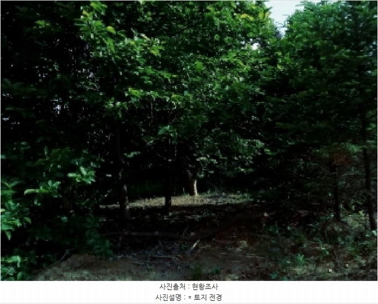 2025타경41880 경기도 안성시 양성면 덕봉리 산38-2 임야 경매 이미지