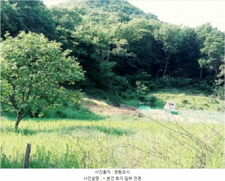 2025타경41880 경기도 안성시 양성면 덕봉리 산38-2 임야 경매 이미지