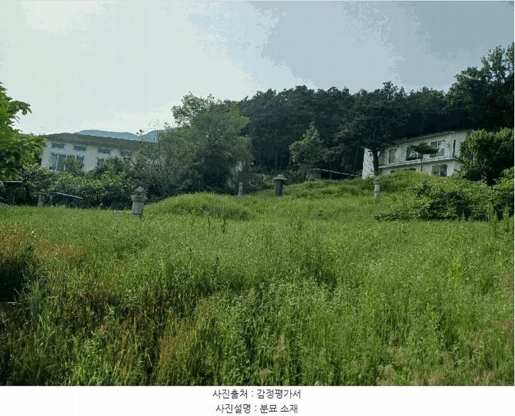 2025타경41880 경기도 안성시 양성면 덕봉리 산38-2 임야 경매 이미지