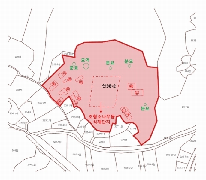 2025타경41880 경기도 안성시 양성면 덕봉리 산38-2 임야 경매 이미지