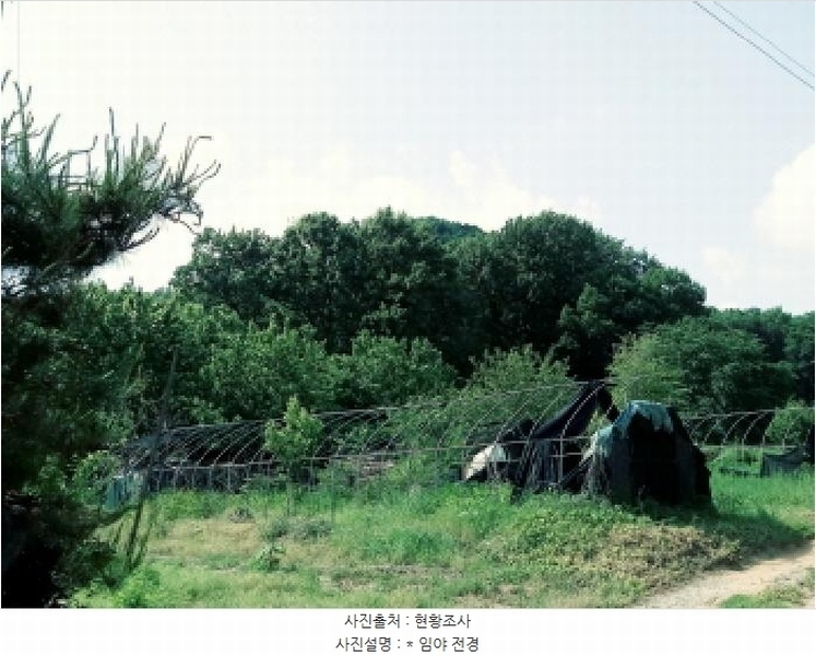 2025타경41880 경기도 안성시 양성면 덕봉리 산38-2 임야 경매 이미지