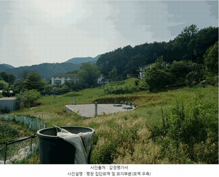 2025타경41880 경기도 안성시 양성면 덕봉리 산38-2 임야 경매 이미지
